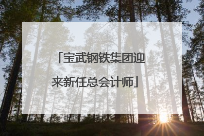 宝武钢铁集团迎来新任总会计师