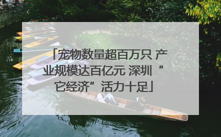宠物数量超百万只 产业规模达百亿元 深圳“它经济”活力十足