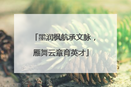 墨润枫航承文脉，雁舞云章育英才