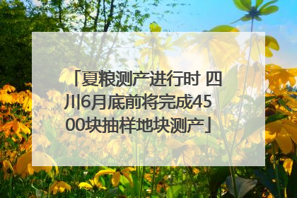 夏粮测产进行时 四川6月底前将完成4500块抽样地块测产