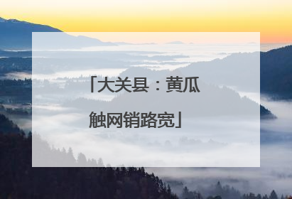 大关县：黄瓜触网销路宽
