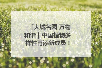 大城名园 万物和谐｜中国植物多样性再添新成员！它只在西藏墨脱