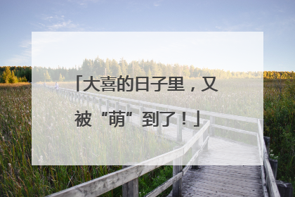 大喜的日子里，又被“萌”到了！