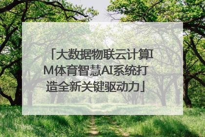 大数据物联云计算IM体育智慧AI系统打造全新关键驱动力