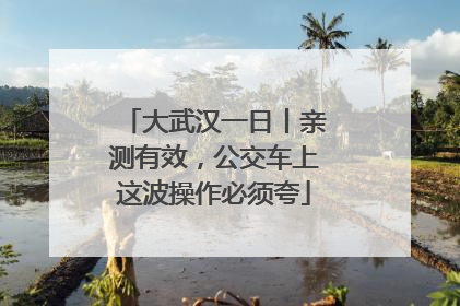 大武汉一日丨亲测有效，公交车上这波操作必须夸