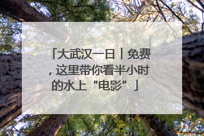 大武汉一日︱免费，这里带你看半小时的水上“电影”