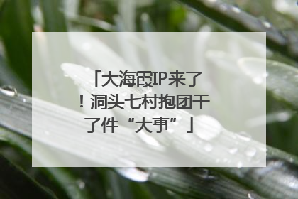 大海霞IP来了！洞头七村抱团干了件“大事”