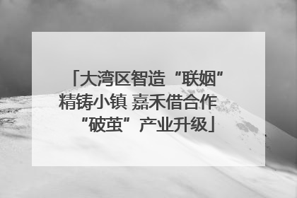 大湾区智造“联姻”精铸小镇 嘉禾借合作“破茧”产业升级