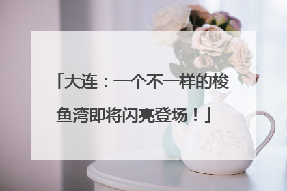 大连：一个不一样的梭鱼湾即将闪亮登场！