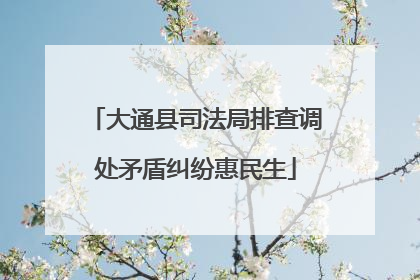 大通县司法局排查调处矛盾纠纷惠民生
