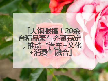 大饱眼福！20余台精品豪车齐聚嘉定，推动“汽车+文化+消费”融合