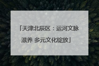 天津北辰区：运河文脉滋养 多元文化绽放
