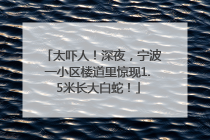 太吓人！深夜，宁波一小区楼道里惊现1.5米长大白蛇！