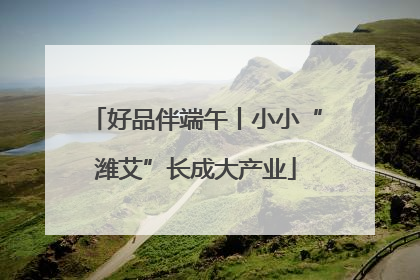 好品伴端午丨小小“潍艾”长成大产业