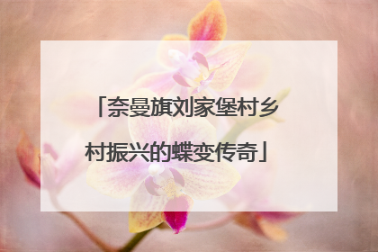 奈曼旗刘家堡村乡村振兴的蝶变传奇