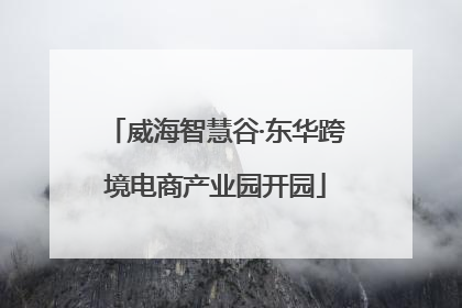 威海智慧谷·东华跨境电商产业园开园