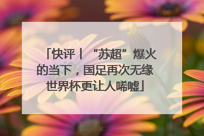 快评丨“苏超”爆火的当下，国足再次无缘世界杯更让人唏嘘