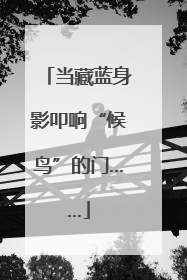 当藏蓝身影叩响“候鸟”的门……