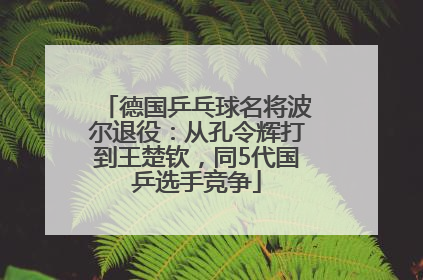 德国乒乓球名将波尔退役：从孔令辉打到王楚钦，同5代国乒选手竞争