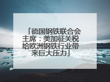 德国钢铁联合会主席：美加征关税给欧洲钢铁行业带来巨大压力