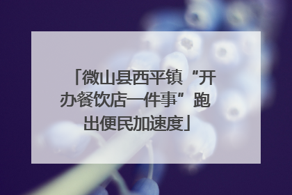 微山县西平镇“开办餐饮店一件事”跑出便民加速度