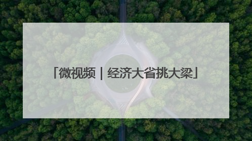 微视频｜经济大省挑大梁