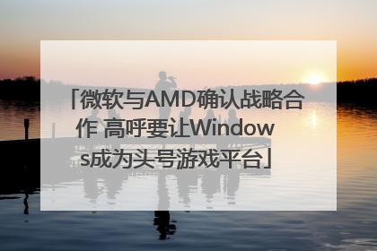 微软与AMD确认战略合作 高呼要让Windows成为头号游戏平台