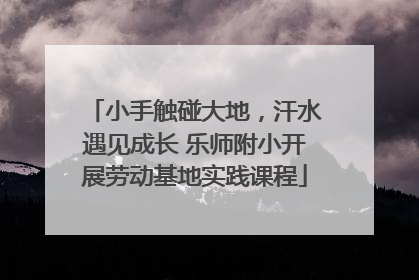 小手触碰大地，汗水遇见成长 乐师附小开展劳动基地实践课程