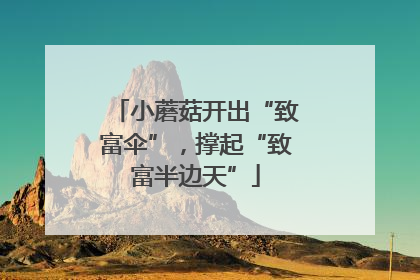 小蘑菇开出“致富伞”，撑起“致富半边天”