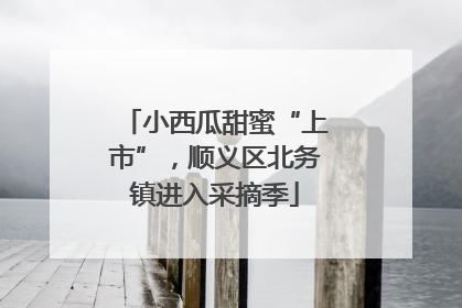 小西瓜甜蜜“上市”，顺义区北务镇进入采摘季