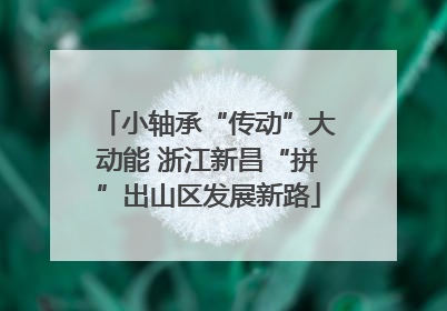 小轴承“传动”大动能 浙江新昌“拼”出山区发展新路