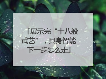 展示完“十八般武艺”，具身智能下一步怎么走