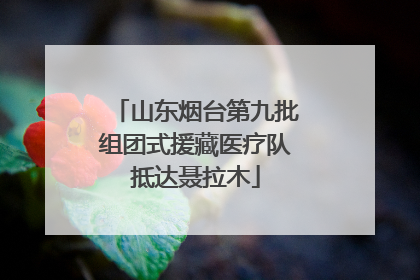 山东烟台第九批组团式援藏医疗队抵达聂拉木