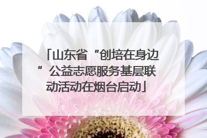 山东省“创培在身边”公益志愿服务基层联动活动在烟台启动
