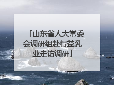 山东省人大常委会调研组赴得益乳业走访调研