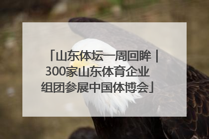 山东体坛一周回眸｜300家山东体育企业组团参展中国体博会