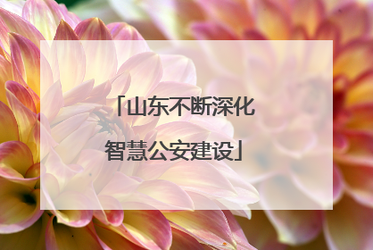 山东不断深化智慧公安建设
