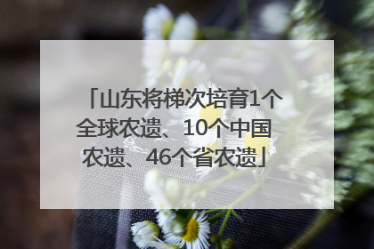 山东将梯次培育1个全球农遗、10个中国农遗、46个省农遗