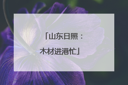 山东日照：木材进港忙