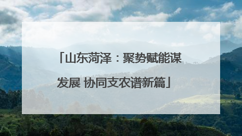 山东菏泽：聚势赋能谋发展 协同支农谱新篇