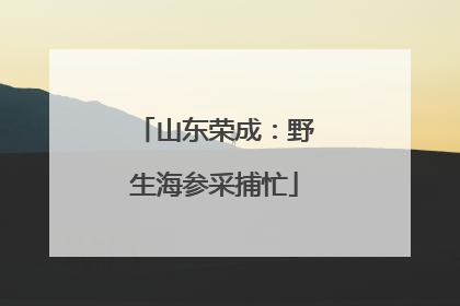 山东荣成：野生海参采捕忙