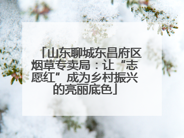 山东聊城东昌府区烟草专卖局：让“志愿红”成为乡村振兴的亮丽底色