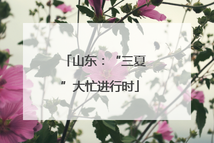 山东：“三夏”大忙进行时
