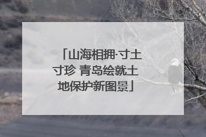 山海相拥·寸土寸珍 青岛绘就土地保护新图景