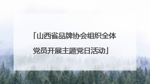 山西省品牌协会组织全体党员开展主题党日活动
