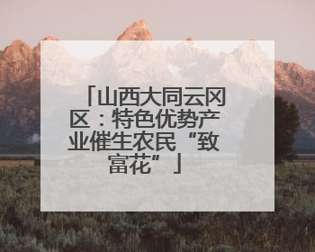 山西大同云冈区：特色优势产业催生农民“致富花”