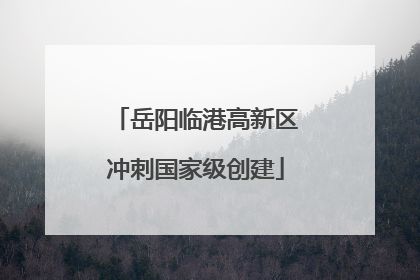 岳阳临港高新区冲刺国家级创建