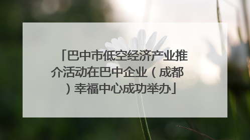 巴中市低空经济产业推介活动在巴中企业（成都）幸福中心成功举办