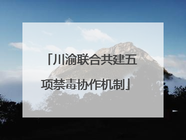 川渝联合共建五项禁毒协作机制