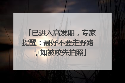 已进入高发期，专家提醒：最好不要走野路，如被咬先拍照